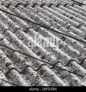 Altes und gefährliches Asbestdach, eines der gefährlichsten Materialien in der Bauindustrie. Eternit Dachdeckung eines schmuddeligen alten und schimmeligen. Stockfoto