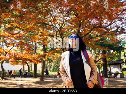 Der Nara Park ist ein großer Park in der Innenstadt von Nara, einer der ältesten Parks in Japan, der 1880 gegründet wurde. Über tausend Rehe sind zum Symbol geworden. Stockfoto