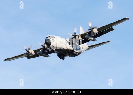 Ein Lockheed C-130 Hercules viermotorige Turboprop Militärtransportflugzeug der belgischen Luftwaffe. Stockfoto