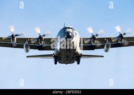 Ein Lockheed C-130 Hercules viermotorige Turboprop Militärtransportflugzeug der belgischen Luftwaffe. Stockfoto