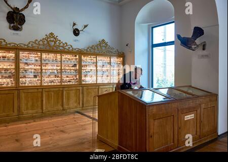 Besuch des Naturhistorischen Museums des Klosters Admont, Österreich Stockfoto