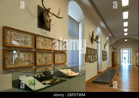 Besuch des Naturhistorischen Museums des Klosters Admont, Österreich Stockfoto