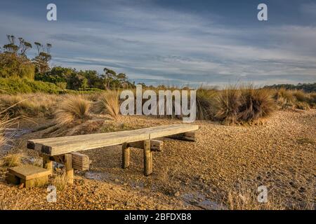 Holzweg über einen Salzwasserkanal im Küstenmarschland am Tamar River am Beauty Point in Tasmanien, Australien. Stockfoto