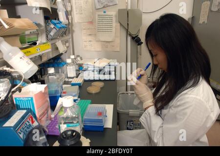 Ein Techniker in einem Labor am Institut für Frontier Medical Sciences der Kyoto Universität, Japan, der induzierte puripotente Stammzellen für Anima vorbereitet Stockfoto