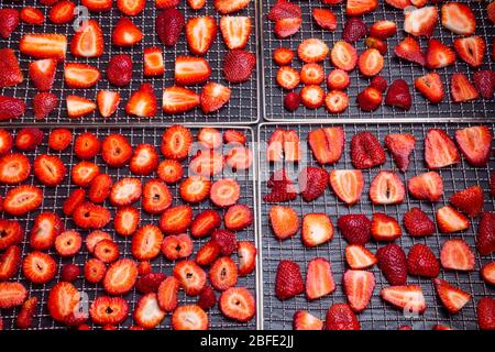 In Scheiben geschnittene reife Erdbeeren in Trockentabletts auf Holzhintergrund, frische Beeren Makro. Gesunde Snacks (Chips) , Mahlzeit, Draufsicht, Ansicht von oben Stockfoto