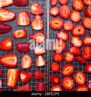 In Scheiben geschnittene reife Erdbeeren in Trockentabletts auf Holzhintergrund, frische Beeren Makro. Gesunde Snacks (Chips) , Mahlzeit, Draufsicht, Ansicht von oben Stockfoto