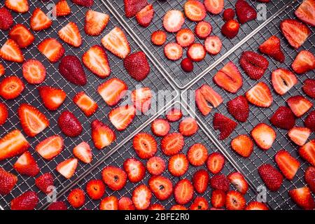 In Scheiben geschnittene reife Erdbeeren in Trockentabletts auf Holzhintergrund, frische Beeren Makro. Gesunde Snacks (Chips) , Mahlzeit, Draufsicht, Ansicht von oben Stockfoto