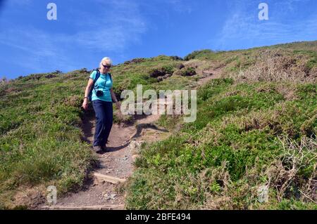 Eineinreisende Frau, die die steilen Holztreppen hinunter zur Fußgängerbrücke am Scrade Beach am South West Coast Path, North Cornwall, England, Großbritannien, wandern. Stockfoto