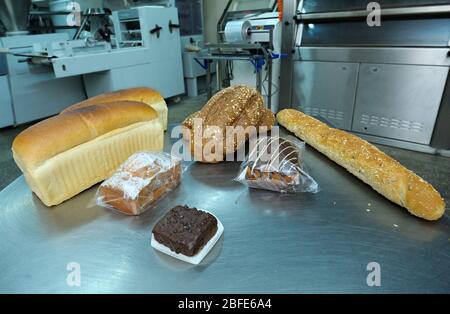 Niederländische Backwaren auf einem Tablett platziert: Brot, Brötchen, Muffins, Maschinen einer automatischen Teiglinie auf einem Hintergrund Stockfoto