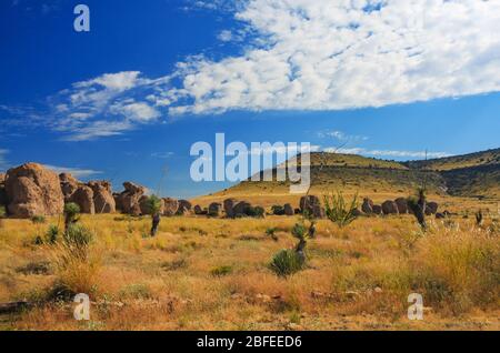 Landschaft im City of Rocks State Park in New Mexico, USA, mit Felsbrocken und Zinnen, die durch Vulkanausbrüche von Emory Caldera gebildet wurden Stockfoto