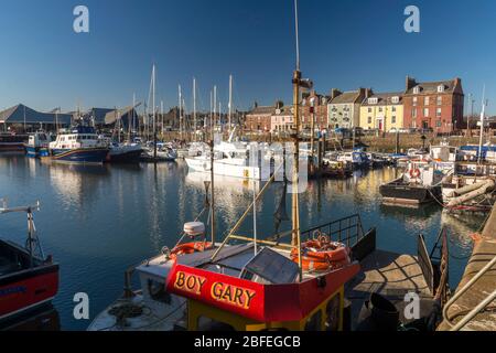 Arbroath Hafen Stockfoto