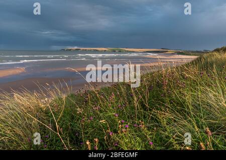 Lunan Bay, Angus Stockfoto