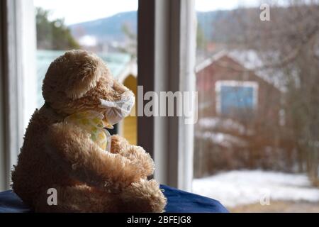 Ein Teddybär mit Gesichtsmaske sitzt vor einem Fenster und blickt auf einen schneebedeckten Garten in Schweden. Stockfoto