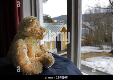 Ein Teddybär sitzt vor einem Fenster und blickt auf einen schneebedeckten Garten. Stockfoto