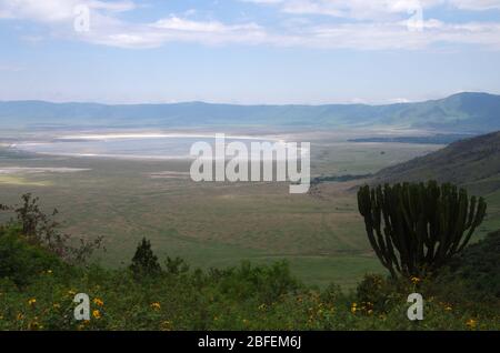 Blick auf den Ngorongoro-Krater in Tansania Stockfoto