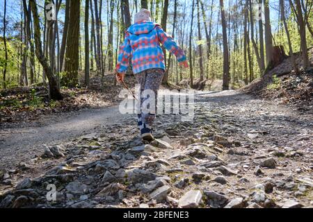 Rückansicht des 4-jährigen Kindes, das Holzstab in der Hand hält und an einem sonnigen Tag einen steinigen Fußweg in einem schönen hellen Frühlingswald hinaufgeht. Siehe Stockfoto
