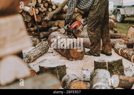 Holzfäller, der mit Motorsäge arbeitet. Mann schneidet Holz Protokolle für Brennholz. Nahaufnahme von Holzfäller, Motorsäge in Bewegung, Holz und Sägemehl auf dem Zackenbarsch schneiden Stockfoto