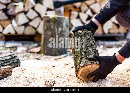 Mann, der ein Stück Holz auf Sägemehl hält. Holz für Brennholz schneiden. Nahaufnahme des Holzfällers bei der Arbeit im Sägewerk. Stapel von gehacktem Holz in der Backgrou Stockfoto