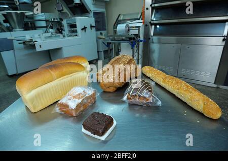 Niederländische Backwaren auf einem Tablett platziert: Brot, Brötchen, Muffins, Maschinen einer automatischen Teiglinie auf dem Hintergrund Stockfoto