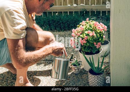 Ein Mann pflanzt und wässert Pflanzen in einem Hinterhof. Stockfoto