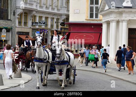 Wien, Österreich. Fiaker am Michaelerplatz in Wien Stockfoto