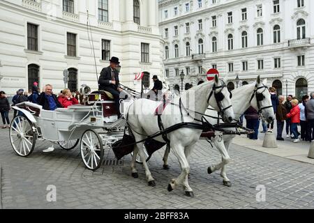 Wien, Österreich. Fiaker am Michaelerplatz in Wien Stockfoto