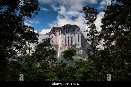 Majestätischer Blick über Salto Angel vom Basislager, höchster Wasserfall der Welt, Canaima Nationalpark, Venezuela Stockfoto