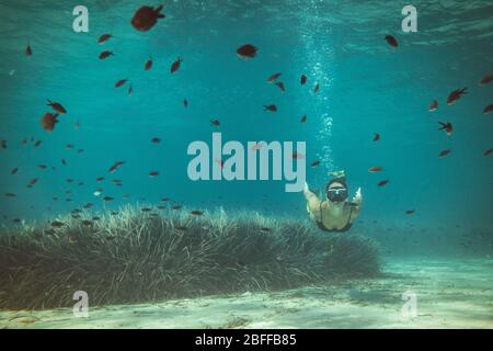 Eine schöne junge Frau hat Spaß im Sommerurlaub erkunden Meeresboden während Tauchen im Meer. Stockfoto