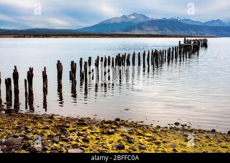 The Last Hope Sound Altes Dock im Golf von Almirante Montt in Patagonien Puerto Natales, Magallanes Region, Chile Stockfoto