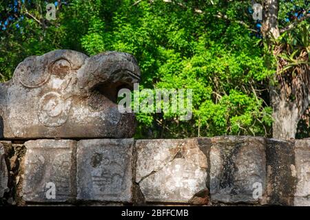 Schlangenkopf-Skulptur in der Maya-Ruine von Chichen Itza Archäologische Stätte auf der Halbinsel Yucatan, Quintana Roo, Karibikküste, Mexiko Stockfoto