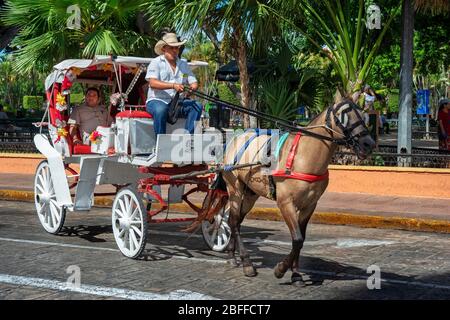 Pferdekutschen auf einer Stadtstraße vor dem plaza grande, Merida, der Hauptstadt der Yucatan, Mexiko Lateinamerika Stockfoto