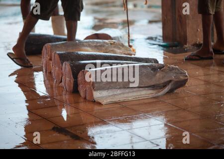 Fischmarkt. Fisch auf dem Boden. Eine Reihe von großen, sektionierten Fischen. Ort: Negombo, Sri Lanka. Stockfoto