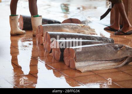 Fischmarkt. Fisch auf dem Boden. Eine Reihe von großen, sektionierten Fischen. Ort: Negombo, Sri Lanka. Stockfoto