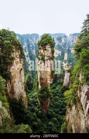 Zhangjiajie Nationalpark, UNESCO-Weltkulturerbe, Landschaftspark Wulingyuan gelegen Hunan in China Stockfoto