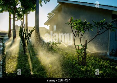 Gartenspritzen bewässern Sukkulenten und Palmen in einer Laguna Niguel, CA, Garten. Stockfoto