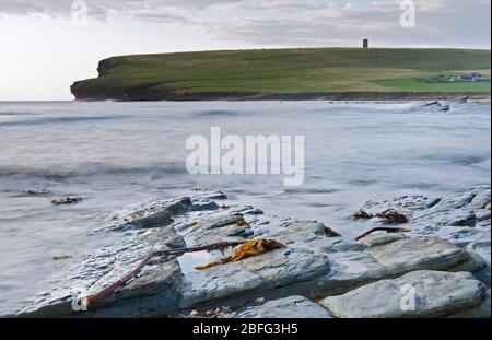 Marwick Head Ansicht, Orkney Stockfoto