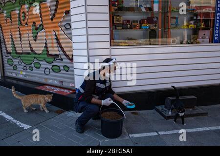 Istanbul, Türkei. April 2020. Ein Mitarbeiter der Gemeinde Kadikoy füttert am 18. April 2020 eine streunende Katze in Istanbul, Türkei. Bahar Cetinkaya und ihr dreiköpfiges Team sind am Samstag mit einem Auto voller Trockenfutter auf die Straße gegangen, da die Stadt wegen COVID-19 für das Wochenende gesperrt ist. Quelle: Yasin Akgul/Xinhua/Alamy Live News Stockfoto