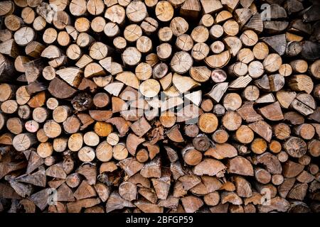 Schwerpunkt auf geschnittenen Holzhölzern aus Nadelholzbäumen, die als Brennholz verwendet werden können. Stockfoto