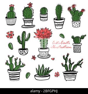 Kaktus und saftige Hand gezeichnet Set. Kritzeln Sie Blumen in Töpfen. Stock Vektor