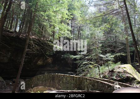 Ort, um in Columbus Ohio Wasserfall zu besuchen, grüne Bäume und grüne Landschaft felsigen Weg unter Pass, Möwe in den Himmel Stockfoto