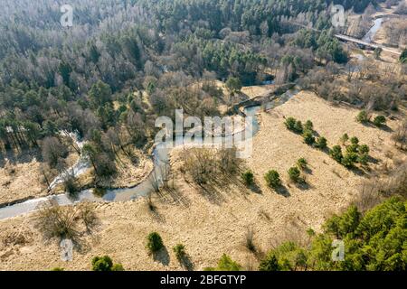 Frühlingslandschaft aus Wald und kleinen gewundenen Fluss. Luftdrohne Foto Stockfoto