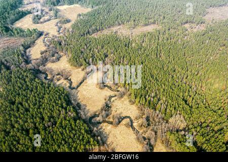 Frühlingslandschaft mit grünem Wald und kleinem gewundenen Fluss. Luftpanorama Stockfoto