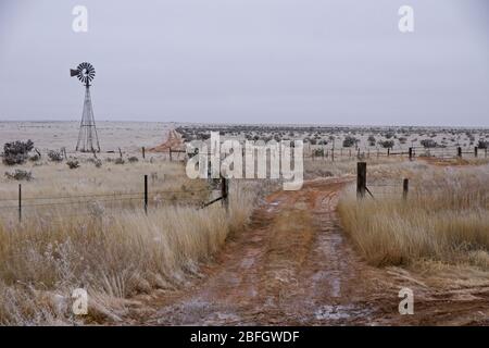 Farm Feld an einem kalten Morgen in New Mexico USA Stockfoto