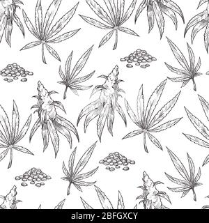 Cannabispflanze mit Laub, Blätter von Marihuana nahtloses Muster Stock Vektor