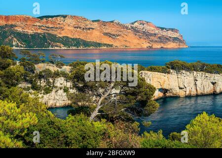 Herrlicher Wanderplatz, schöner Aussichtspunkt auf den Klippen, Calanques de Port Pin Bucht mit spektakulärer Wasserbucht, Calanques Nationalpark in der Nähe von Cassis, Pr Stockfoto