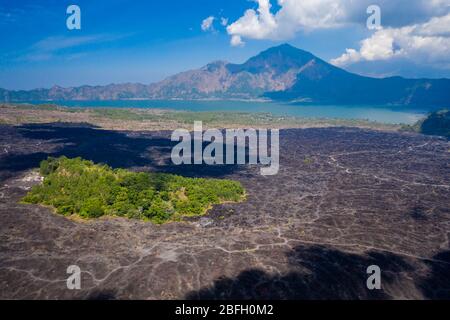 Luftaufnahme einer kleinen grünen Insel, umgeben von schwarzen, erstarrten Lavaströmen um einen aktiven Vulkan (Mount Batur) Stockfoto