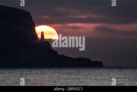 Sonnenaufgang hinter dem Bass Rock im Firth of Forth bei North Berwick, East Lothian. Stockfoto