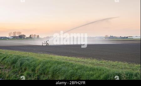 Bewässerung eines landwirtschaftlichen Feldes in Holland mit einer Sprinkleranlage während einer Dürreperiode Stockfoto