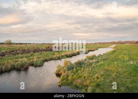 Flache, breite offene holländische Polderlandschaft mit grünen Wiesen, die von mit Wasser gefüllten Gräben durchkreuzt sind Stockfoto