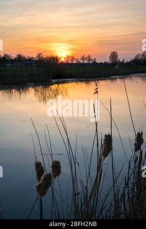 Sonnenuntergang über einem Feuchtgebiet im Westen der Niederlande. Der bunte Himmel spiegelt sich im ruhigen Wasser wider. Stockfoto